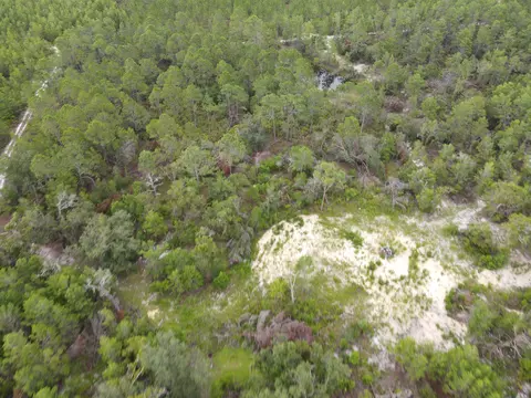 3386 Fish Creek Rd, Perry, FL 32348 photo 28