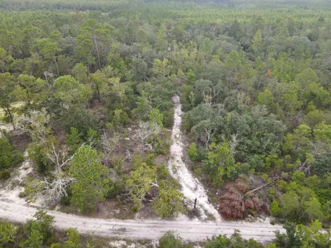 3386 Fish Creek Rd, Perry, FL 32348 photo 16