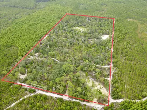 3386 Fish Creek Rd, Perry, FL 32348