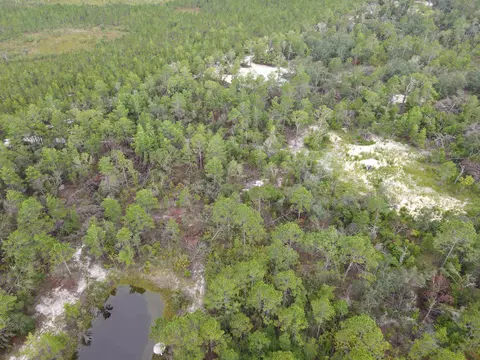 3386 Fish Creek Rd, Perry, FL 32348 photo 9