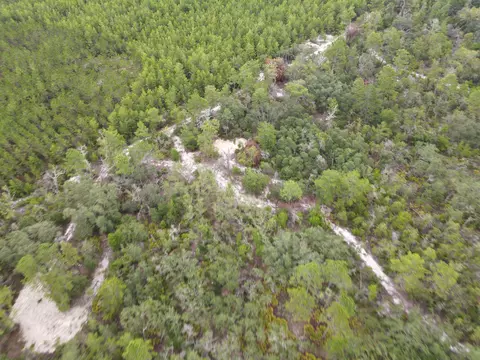 3386 Fish Creek Rd, Perry, FL 32348 photo 21