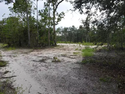 3386 Fish Creek Rd, Perry, FL 32348 photo 36