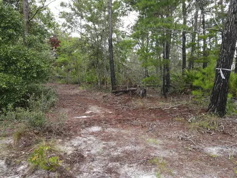 3386 Fish Creek Rd, Perry, FL 32348 photo 33