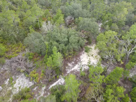 3386 Fish Creek Rd, Perry, FL 32348 photo 14