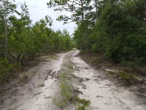 3386 Fish Creek Rd, Perry, FL 32348 photo 32