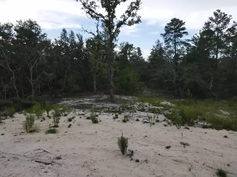 3386 Fish Creek Rd, Perry, FL 32348 photo 40