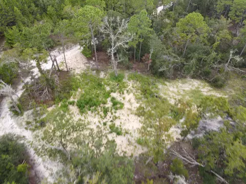 3386 Fish Creek Rd, Perry, FL 32348 photo 19