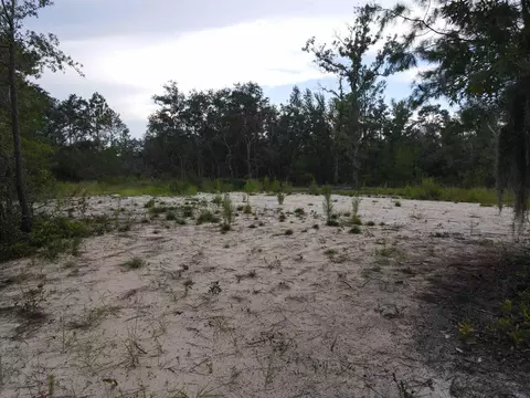 3386 Fish Creek Rd, Perry, FL 32348 photo 38
