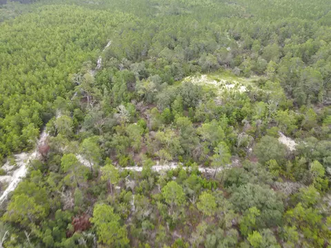 3386 Fish Creek Rd, Perry, FL 32348 photo 27