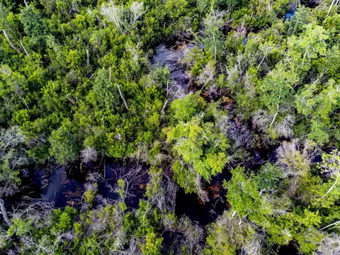 tbd Baker Rd, Other Florida, FL 32438