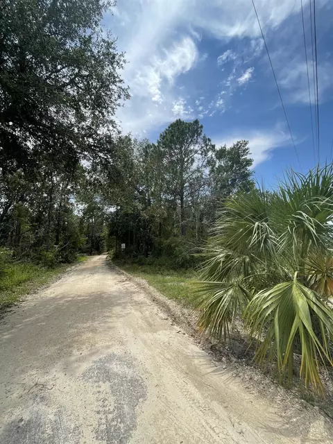 0 Hampton Springs Rd, Perry, FL 32347 photo 4