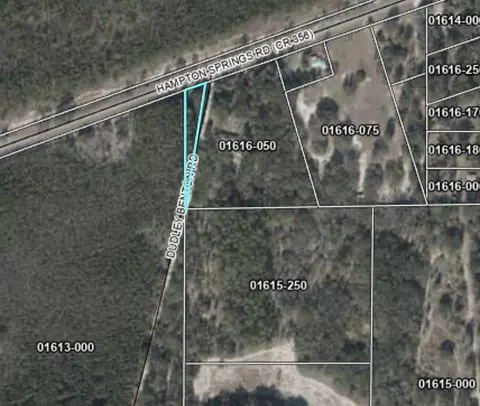 0 Hampton Springs Rd, Perry, FL 32347 photo 6
