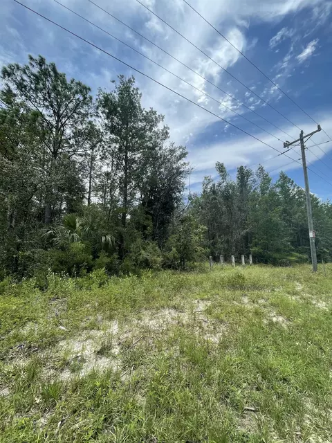 0 Hampton Springs Rd, Perry, FL 32347 photo 5