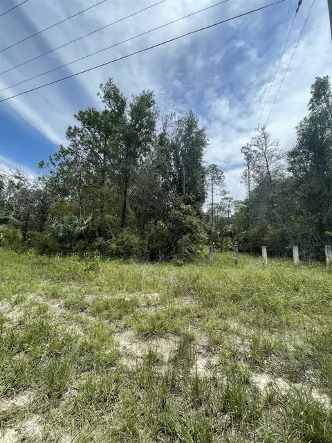 0 Hampton Springs Rd, Perry, FL 32347 photo 2