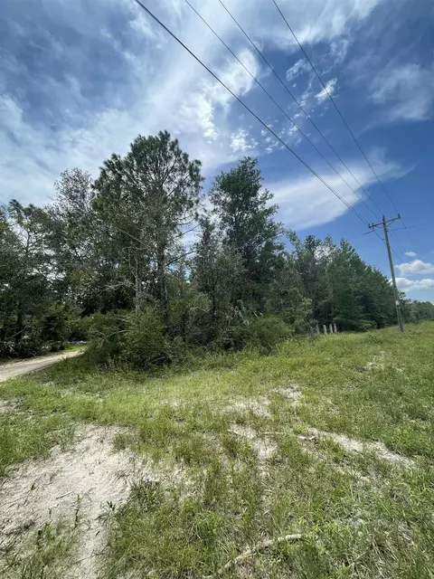 0 Hampton Springs Rd, Perry, FL 32347