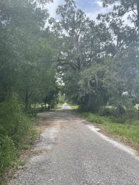 1263 Harold Davis Rd, Perry, FL 32348 photo 19