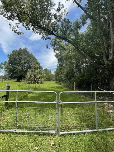 1263 Harold Davis Rd, Perry, FL 32348 photo 5