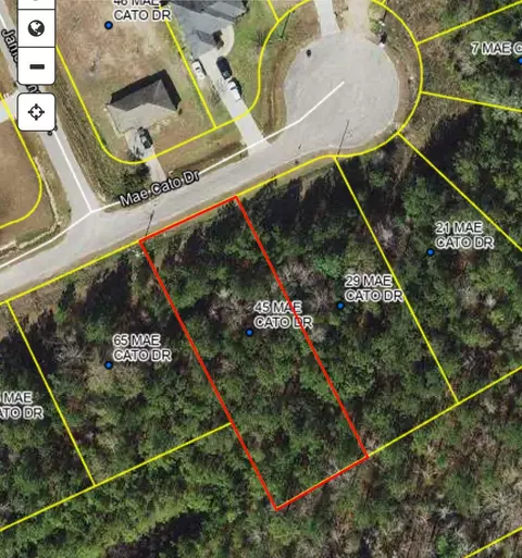 45 Mae Cato Dr, Midway, FL 32343 photo 1