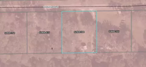 389 Leon Ward Rd, Perry, FL 32347 photo 34