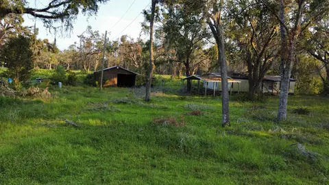 389 Leon Ward Rd, Perry, FL 32347 photo 4