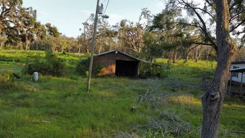 389 Leon Ward Rd, Perry, FL 32347 photo 3