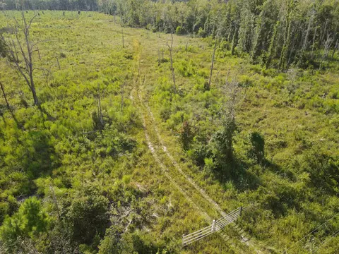 12190 Mt Gilead Rd, Greenville, FL 32331