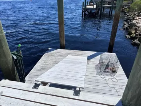 View/Area - 261 River Rd, Carrabelle, FL 32322 photo 4 of 5
