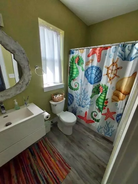 Bath - 261 River Rd, Carrabelle, FL 32322 photo 3 of 3