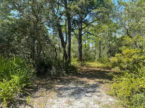lot204 Fernway Rd #1, Alligator Point, FL 32346