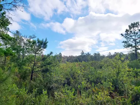 00 SW Wabasso Ter, Greenville, FL 32331