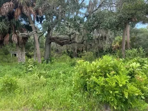 34 Union St, Saint Marks, FL 32355 photo 5