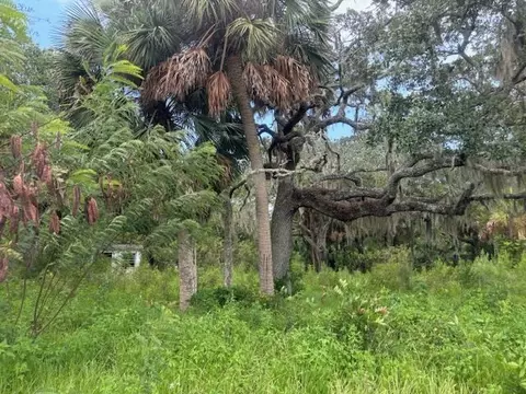 34 Union St, Saint Marks, FL 32355 photo 6