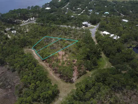 lot22 23 Tarpine Dr, Panacea, FL 32346
