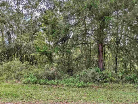 0 Tbd, Mayo, FL 32066 photo 4
