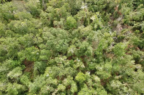 1 Tbd, Mayo, FL 32066 photo 2