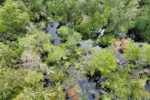 2 Tbd, Mayo, FL 32066 photo 2