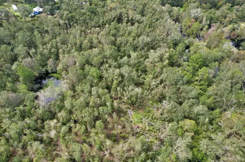 2 Tbd, Mayo, FL 32066 photo 3