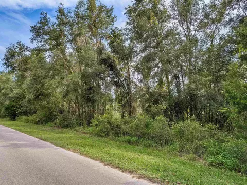 2 Tbd, Mayo, FL 32066 photo 6