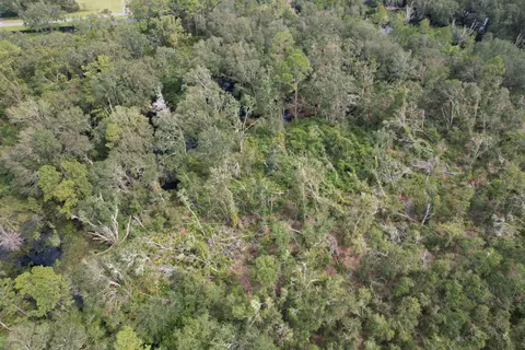 3 Tbd, Mayo, FL 32066 photo 3