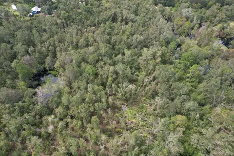 4 Tbd, Mayo, FL 32066