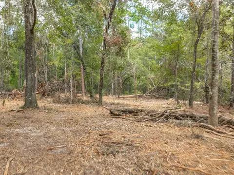 62 Lawhon Mill Rd, Crawfordville, FL 32327