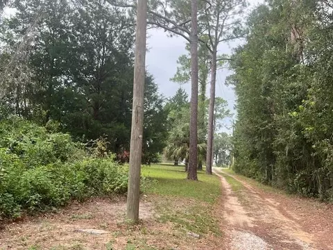 259 NW Willie Deas, Madison, FL 32340 photo 31
