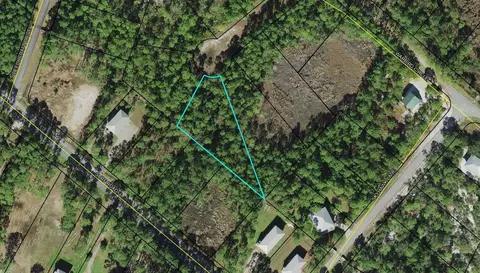 lot S 2021 Tarpine Dr, Panacea, FL 32346