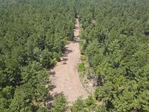 Vacant SW Paradise Way, Greenville, FL 32331