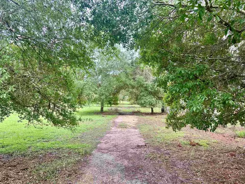 14095 Mt Gilead Rd, Greenville, FL 32331