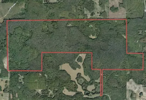 1268 NW White Wing Dove Dr, Greenville, FL 32331