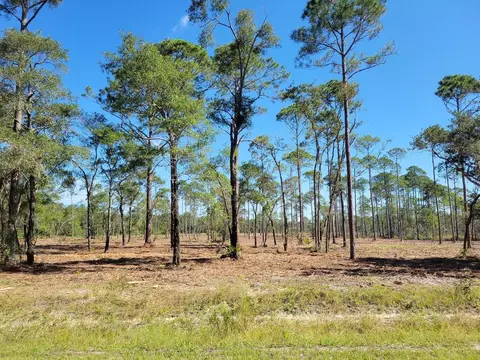 lot8 Ramsey Way, Ochlockonee Bay, FL 32346