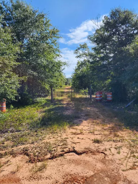 13394 NW Odell Owens Rd, Bristol, FL 32321