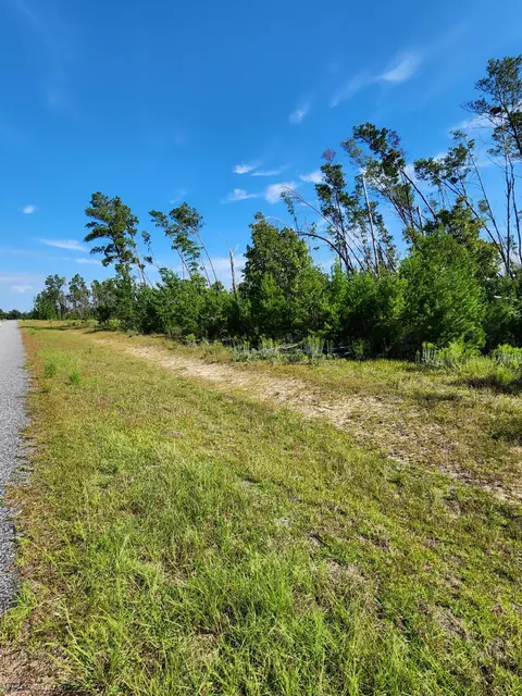 12564 NW Telogia Creek Dr, Bristol, FL 32321