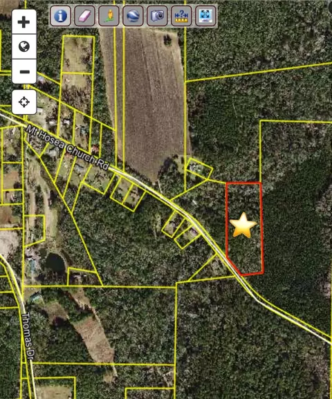 mt hosea church road, Quincy, FL 32352